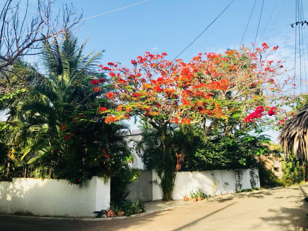 Casa de férias Surf Blue Cabarete