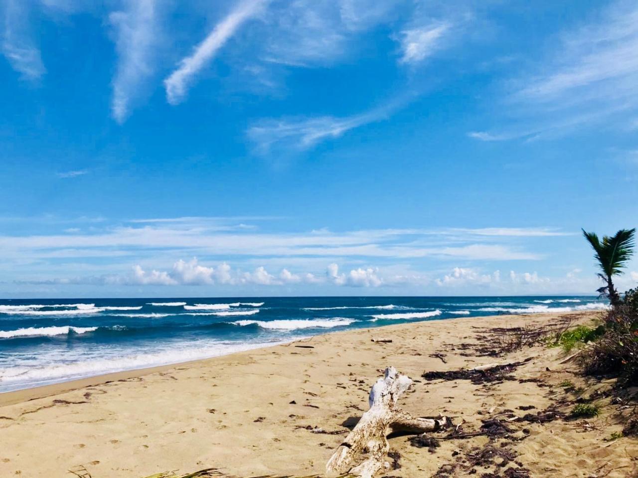 Casa de férias Surf Blue
