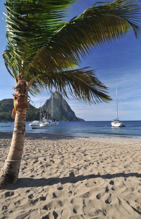 Still House 4* Soufriere