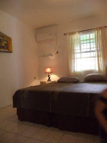 Happy Turtle Apartment Willemstad