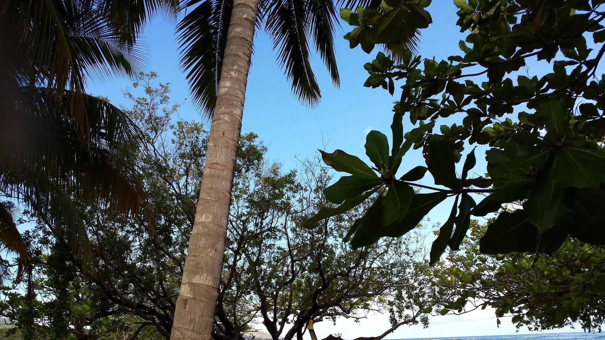 Costambar Puerto Plata
