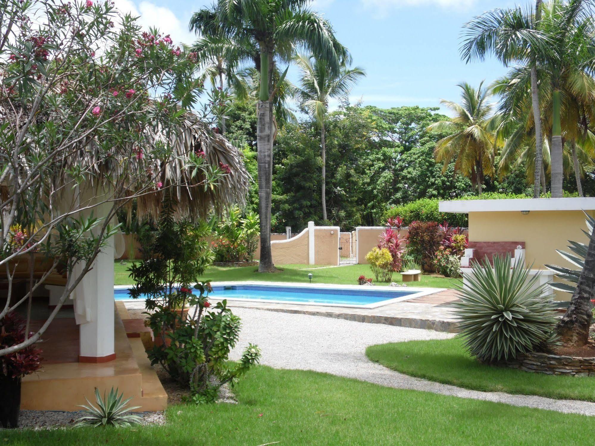 Palmas