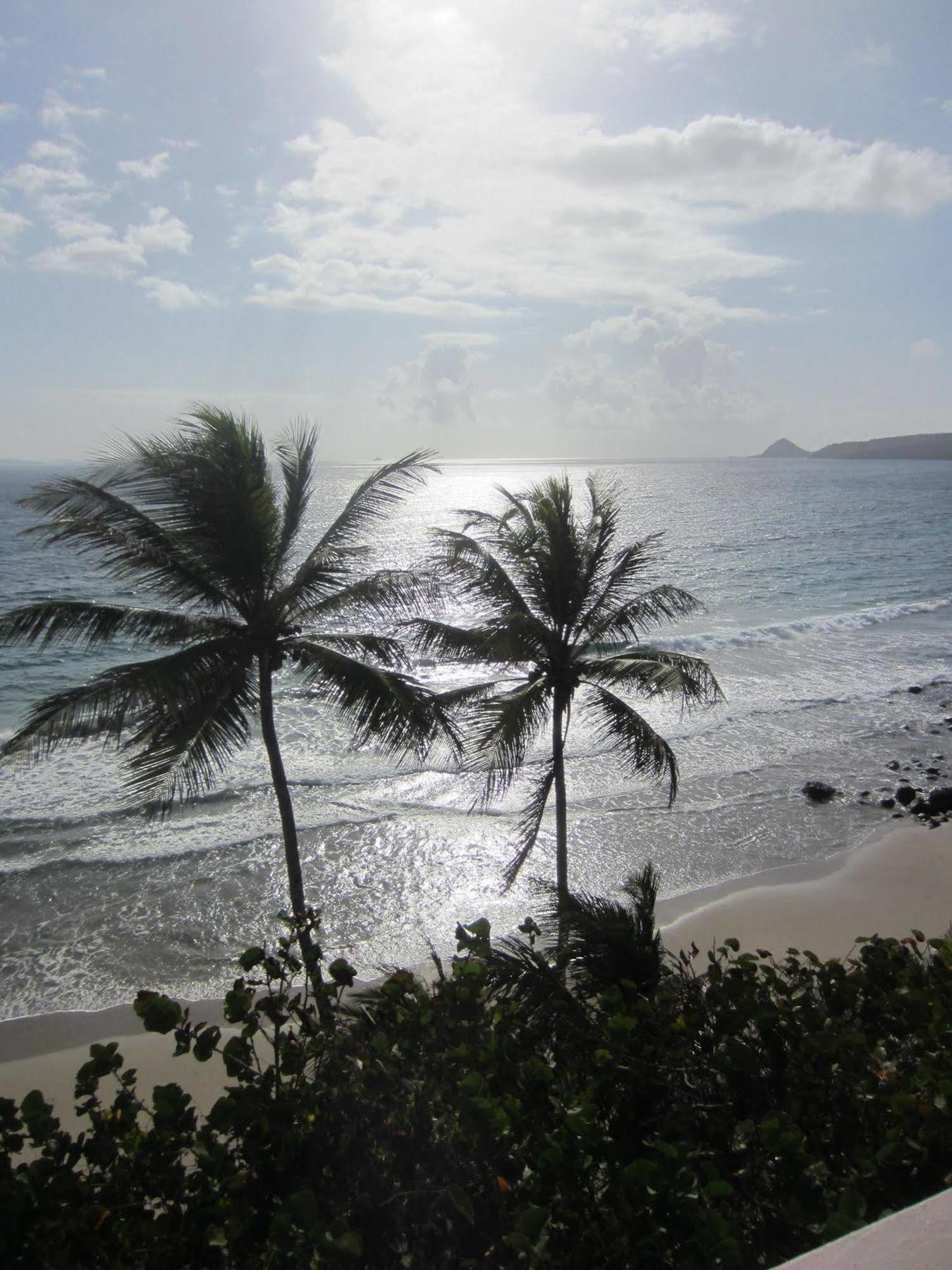 Petite Anse 3*