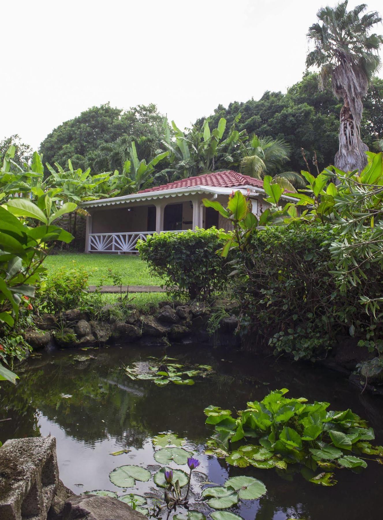 Petite Anse 3* Sauteurs