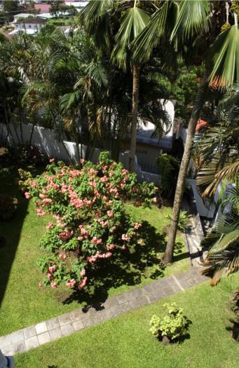 Hotel Grenadine House
