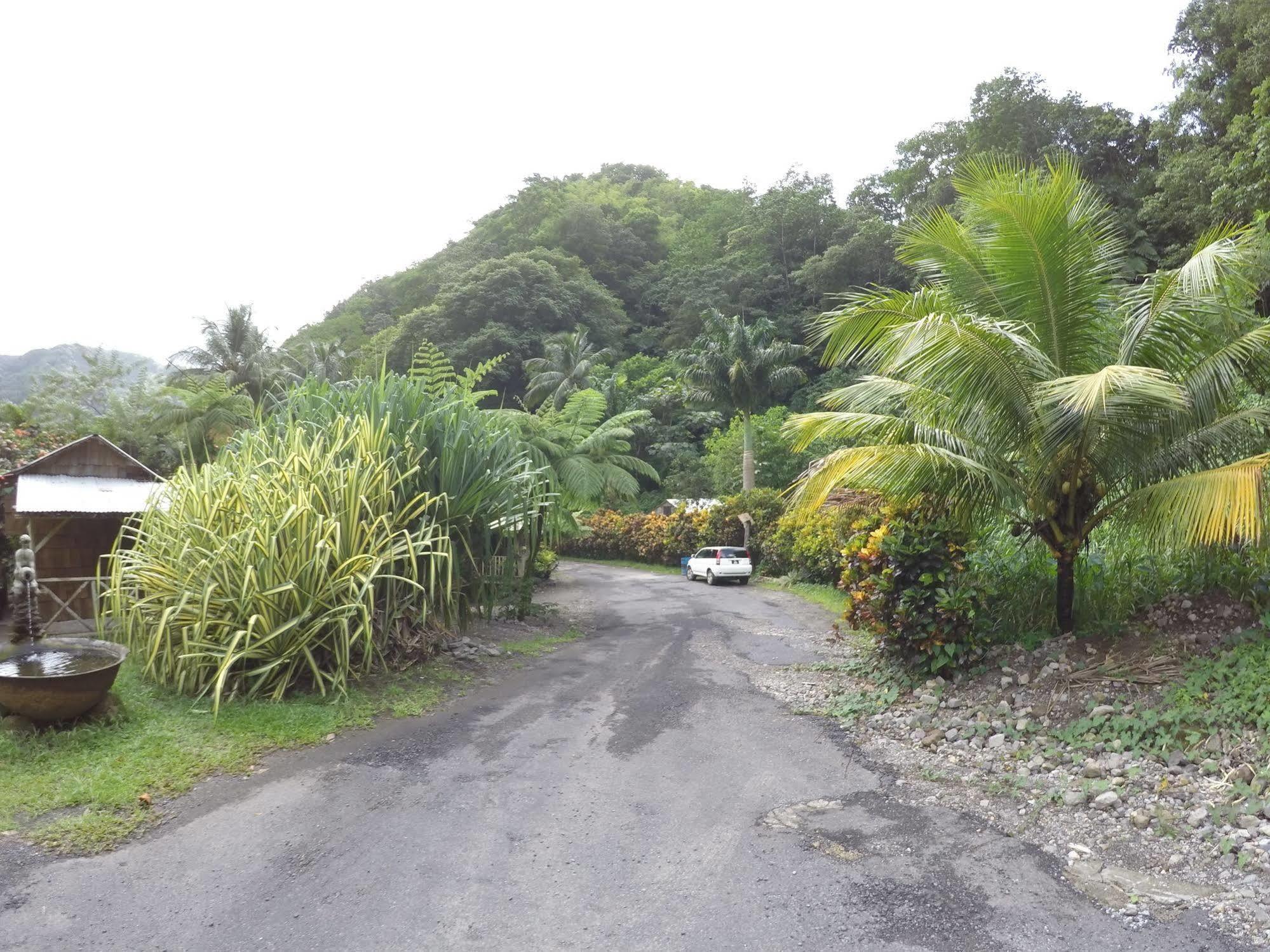 Natty Tropical Valley Hotel