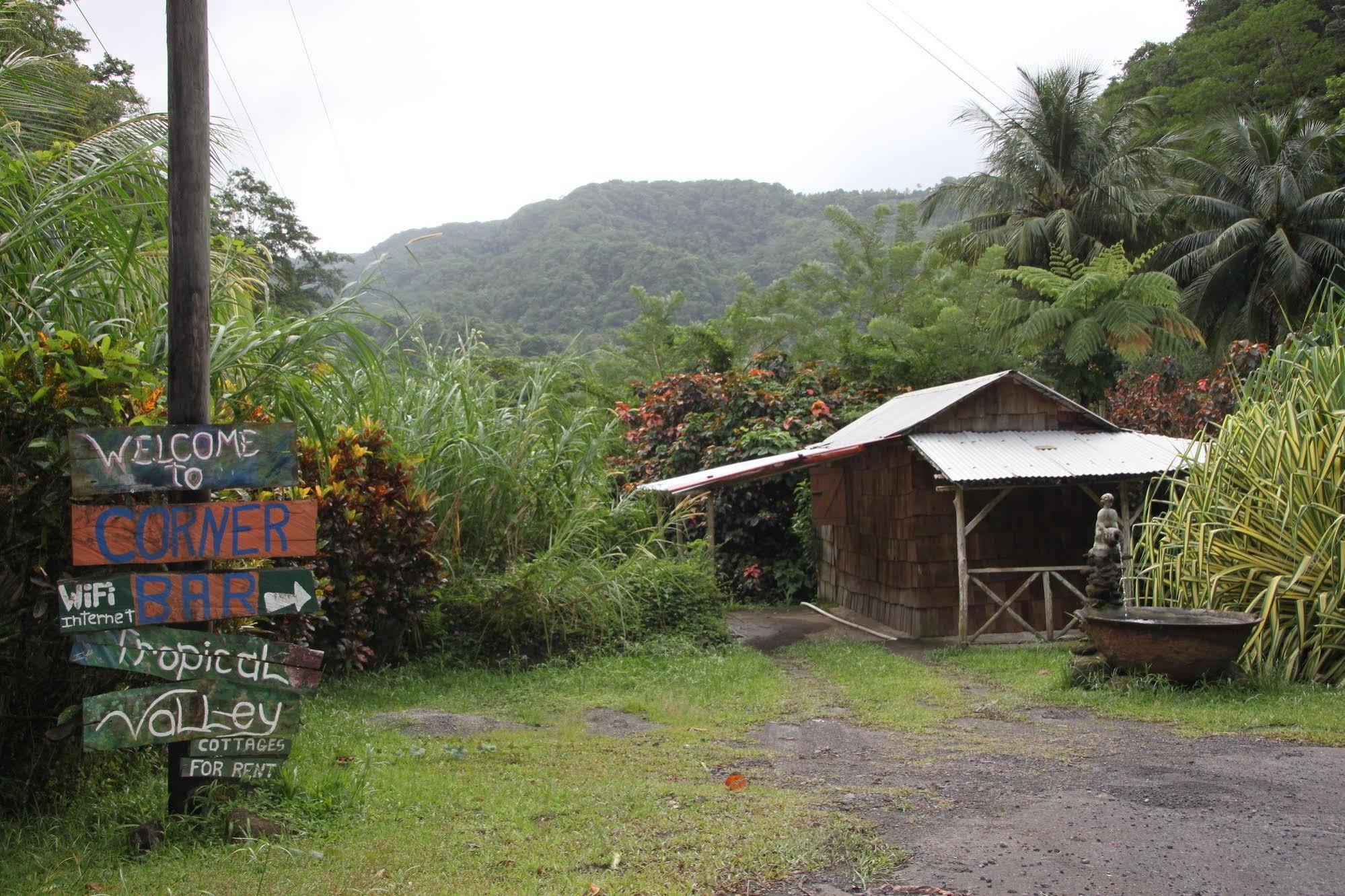 Natty Tropical Valley Hotel Roseau