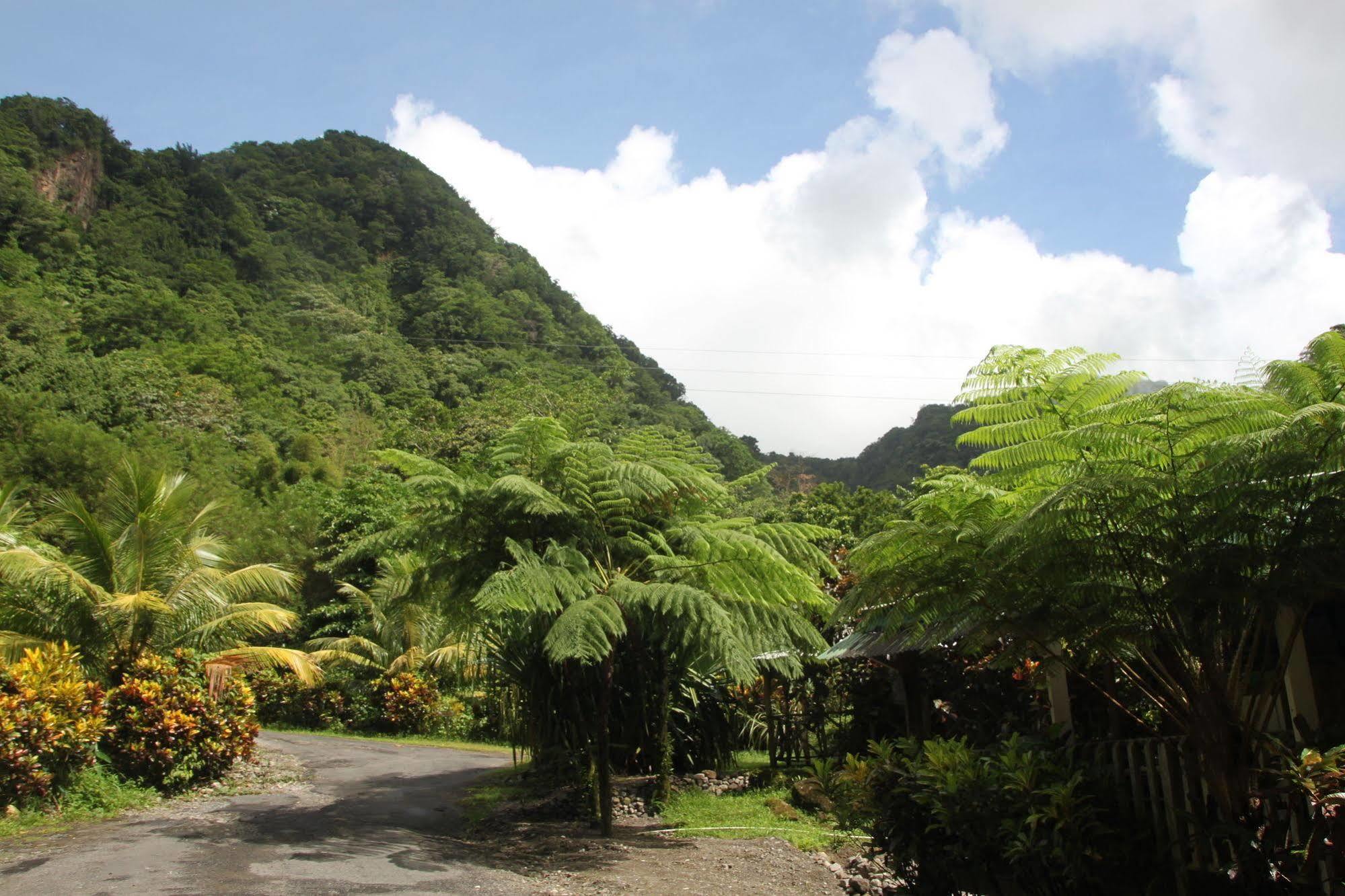 Hotel Natty Tropical Valley Roseau
