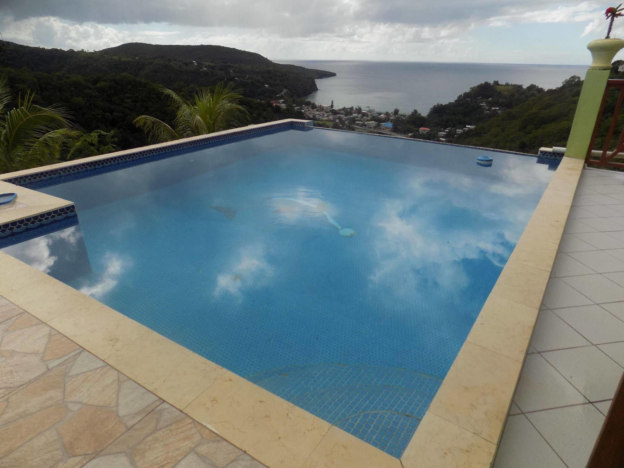 Tropical Paradise View
