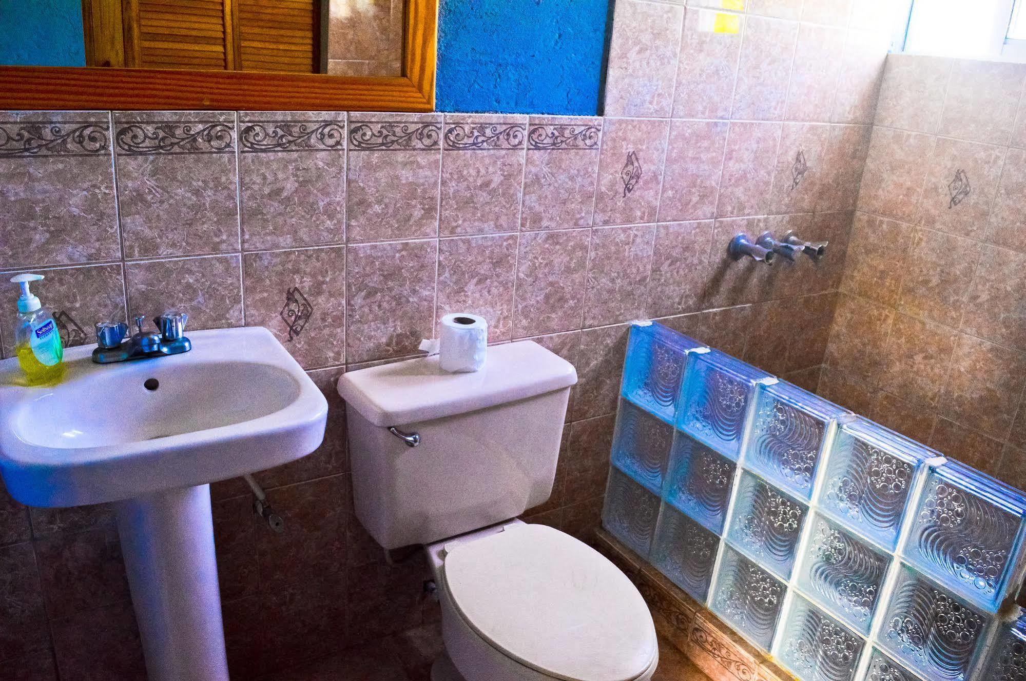 Lemer & Guest house