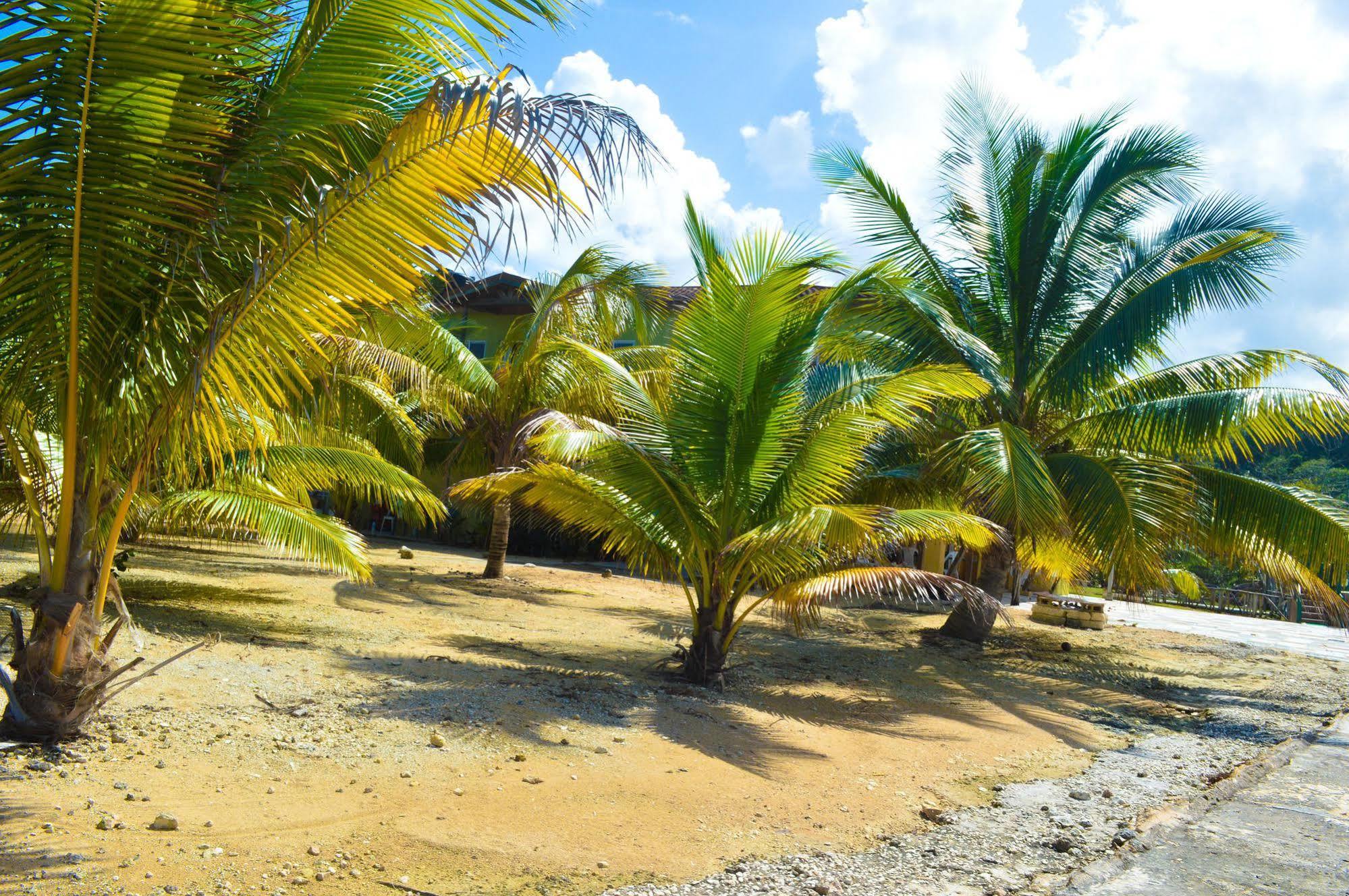 Lemer & Guest house Lucea