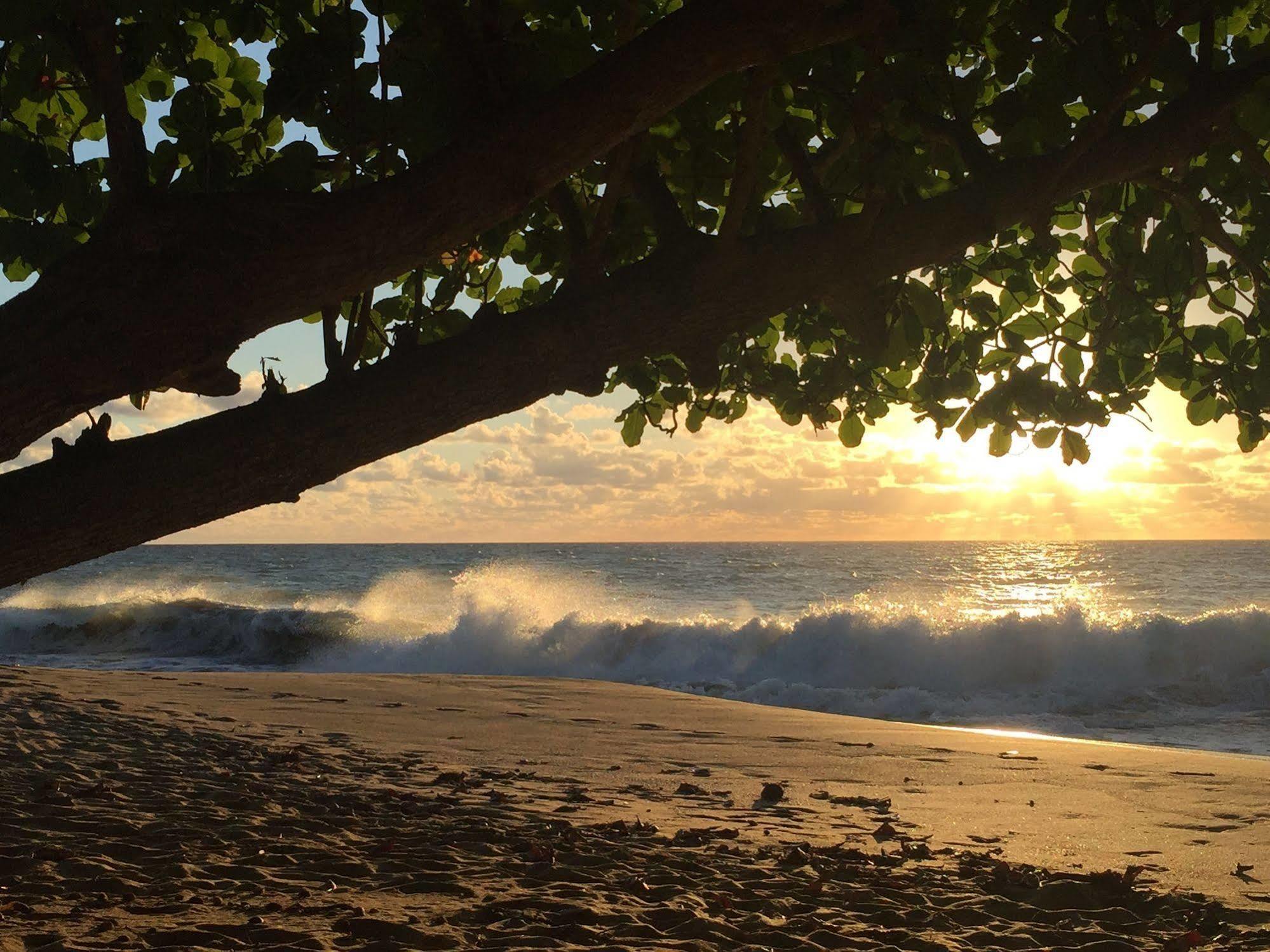 Coqui Cabana Rincon