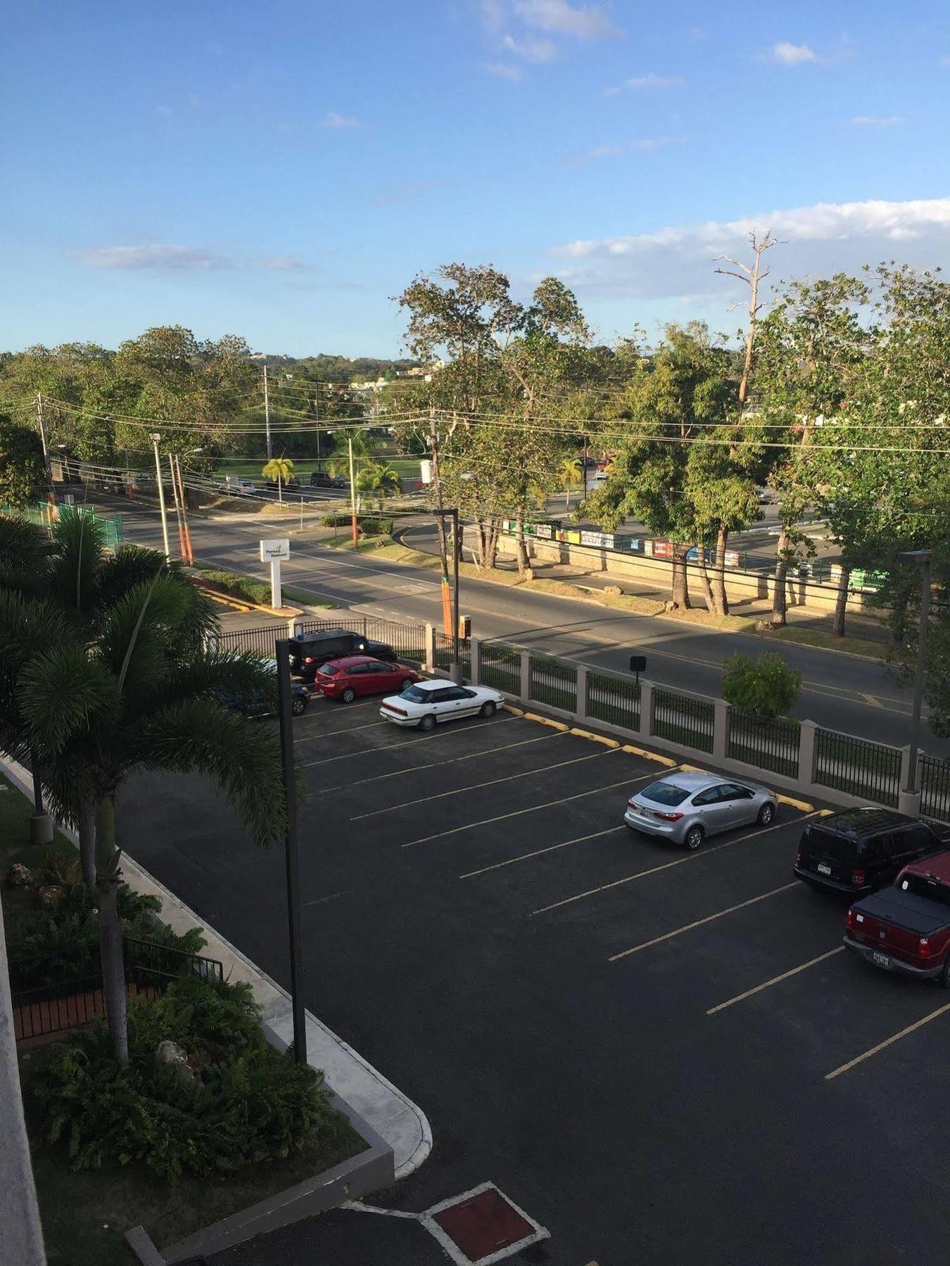Coqui Cabana Rincon