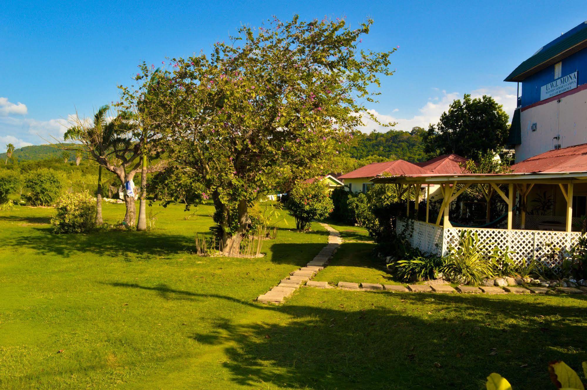 Hotel Dead End Road Montego Bay