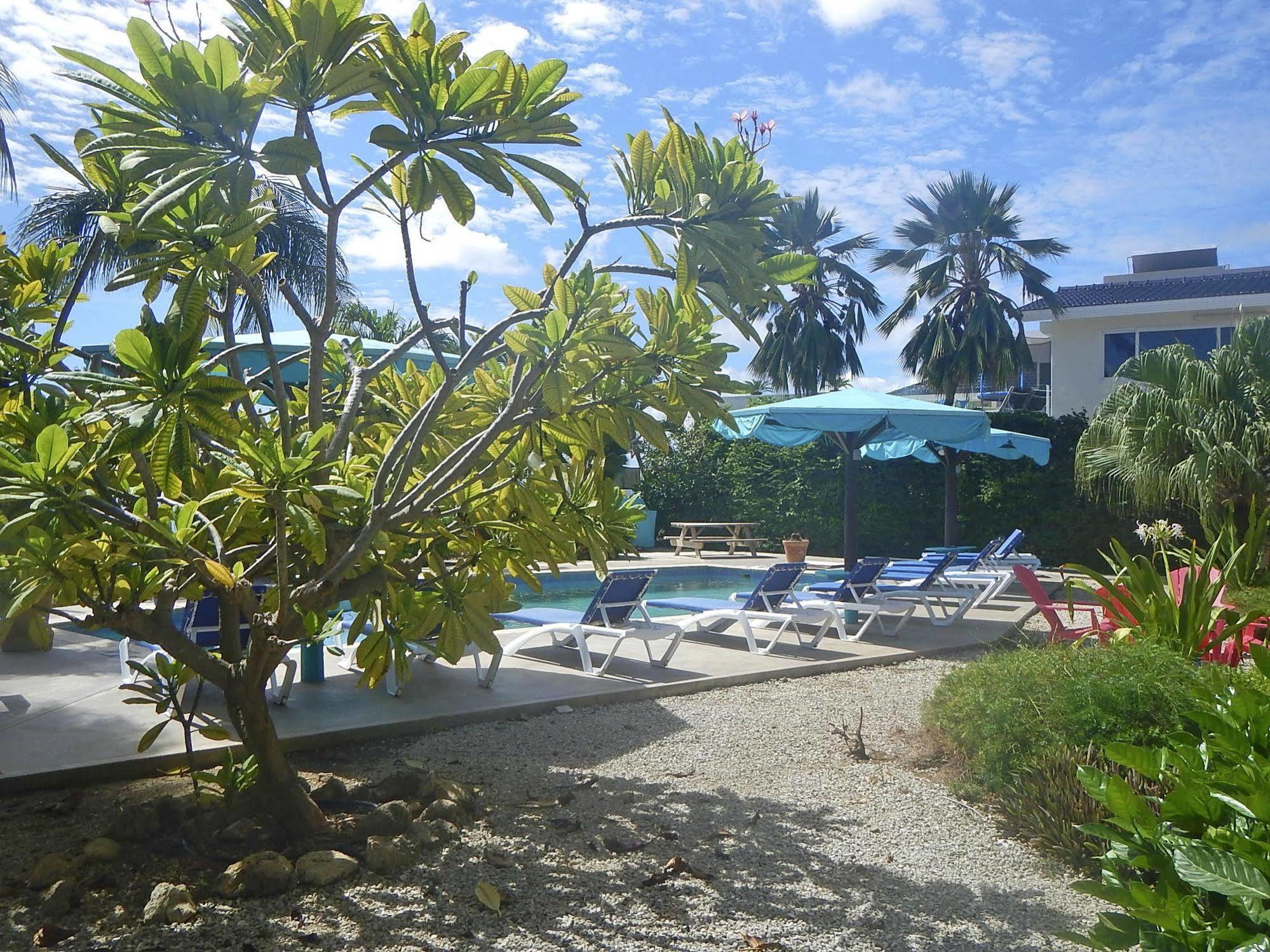 Apartment Bonaire Oceanfront *