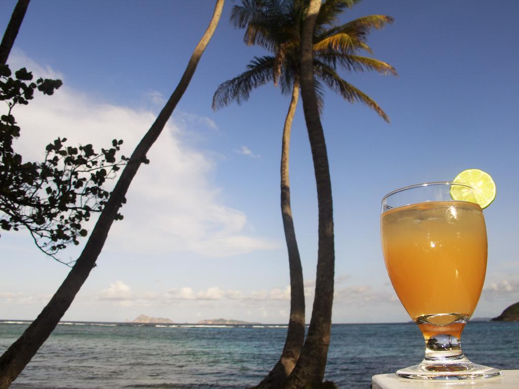 Sugar Reef Bequia - Adults Only Hotel 4*