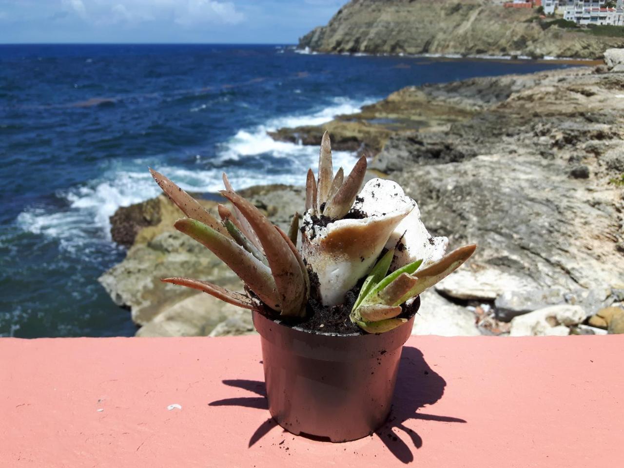 Apartment Ocean Shore *