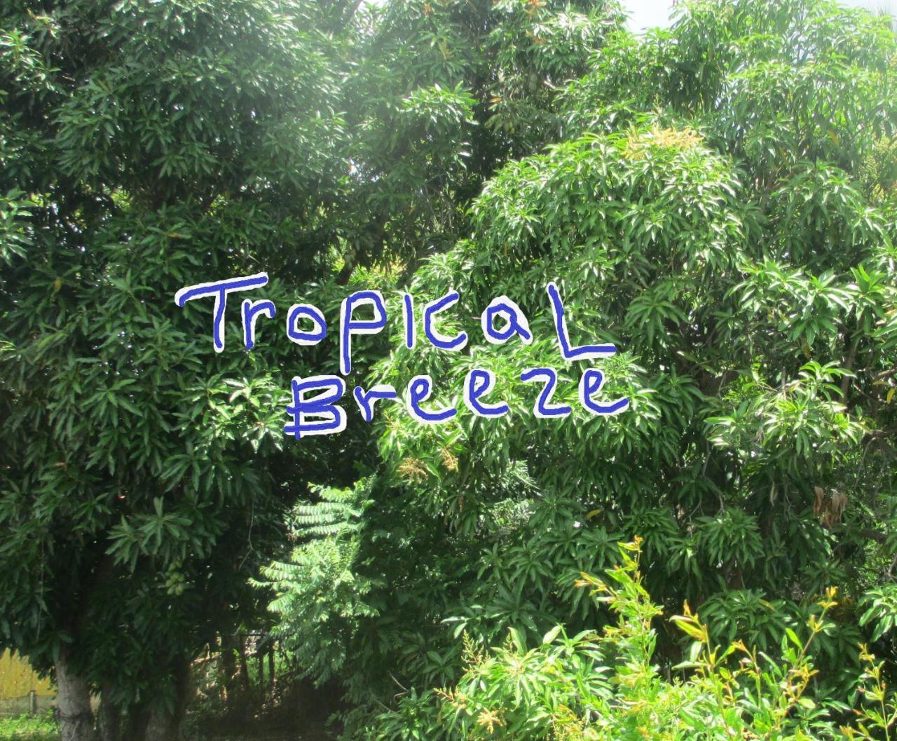Tropical Breeze Vacation And 2* Gros Islet
