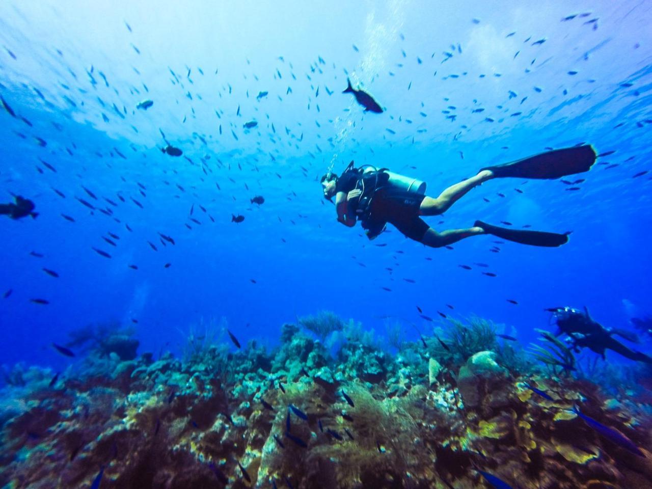 Reef House North * Grand Turk