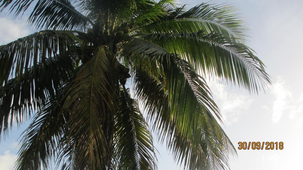 Tropical Breeze Vacation And Guest house