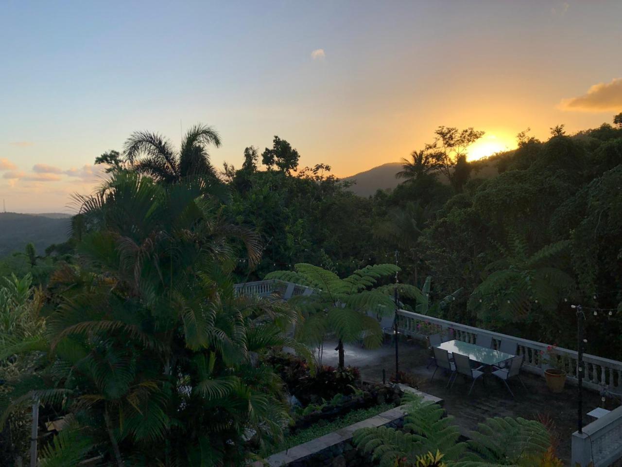 El Yunque Rainforest Rio Grande