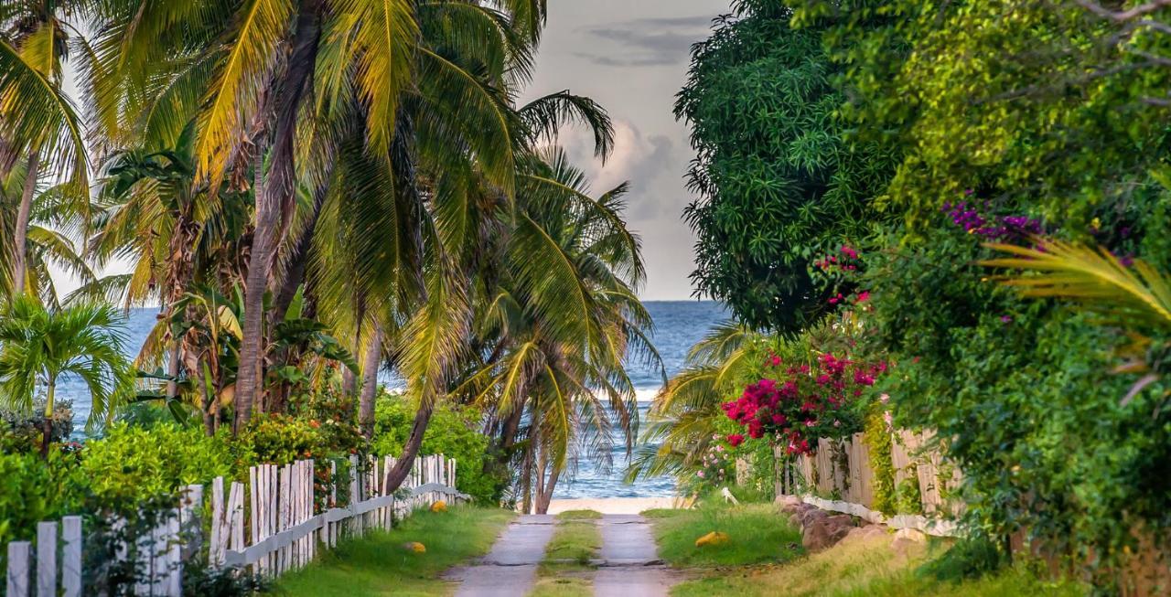 Nisbet Plantation Club 4*