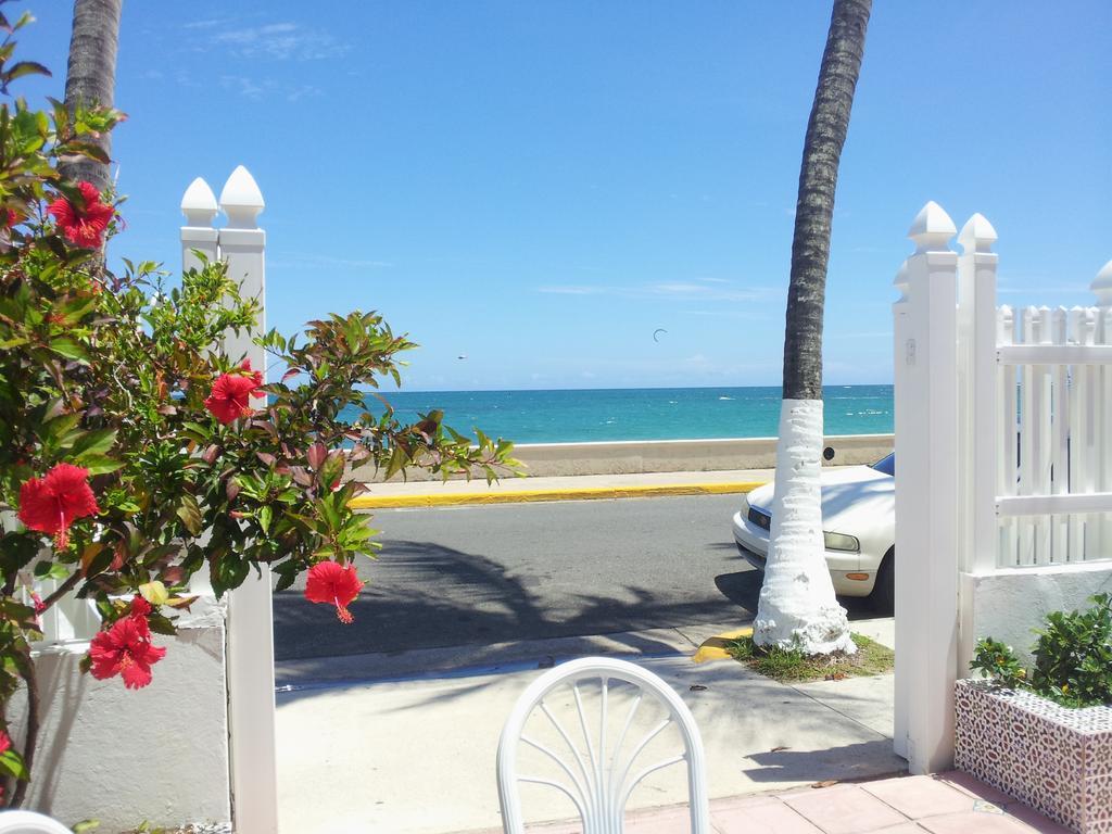 Tres Palmas San Juan