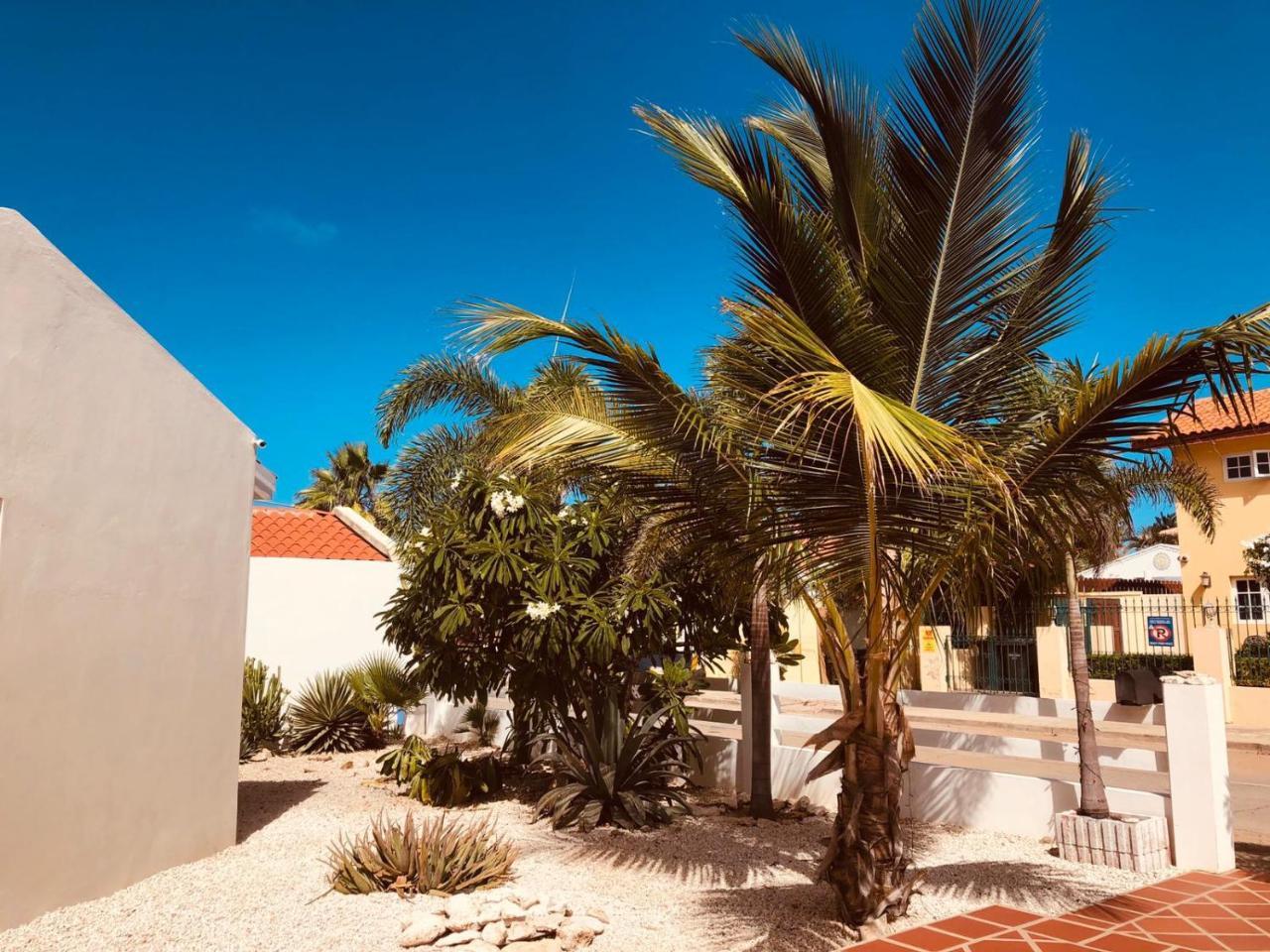 Hotel Karibu Aruba Boutique Palm Beach