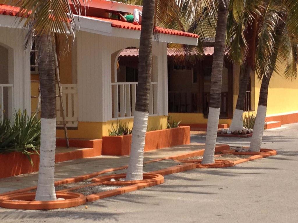 Hotel Coconut Palm Beach