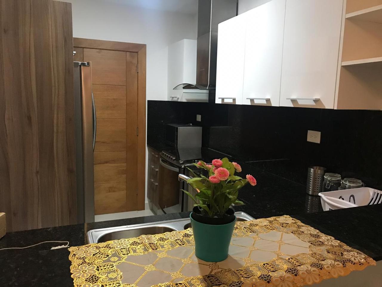Apartamento Palmera Xviii Santo Domingo