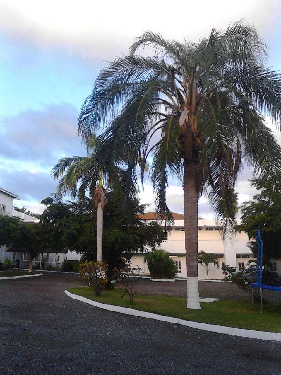 Acomodação com café da manhã  Sea Shell Palms, 3*