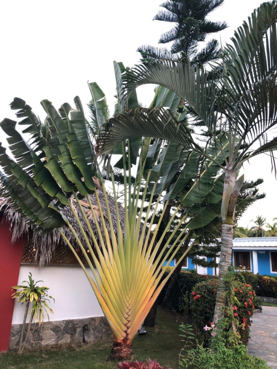Casa Azul Galeras Las Galeras