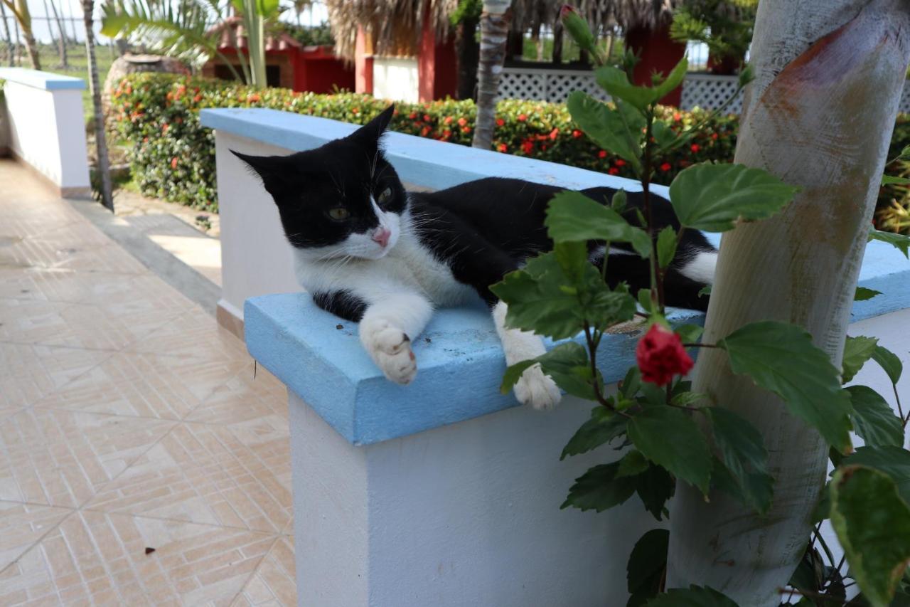 Casa Azul Galeras Bed & Breakfast *