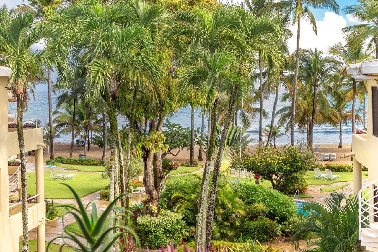 Palm