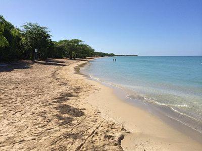The Buddha Garden Cabo Rojo