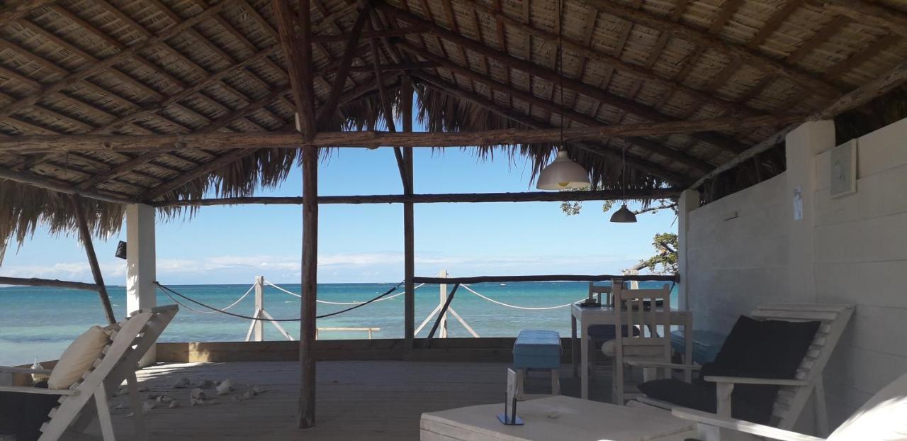 Alojamento Eco Cayo Arena Beach House - Adults Only *