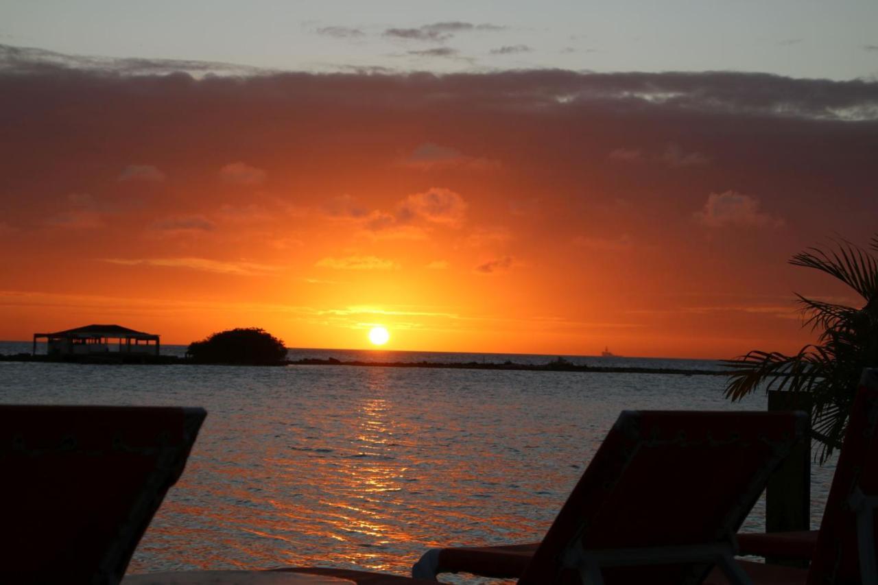 Hotel Coral Reef 3*