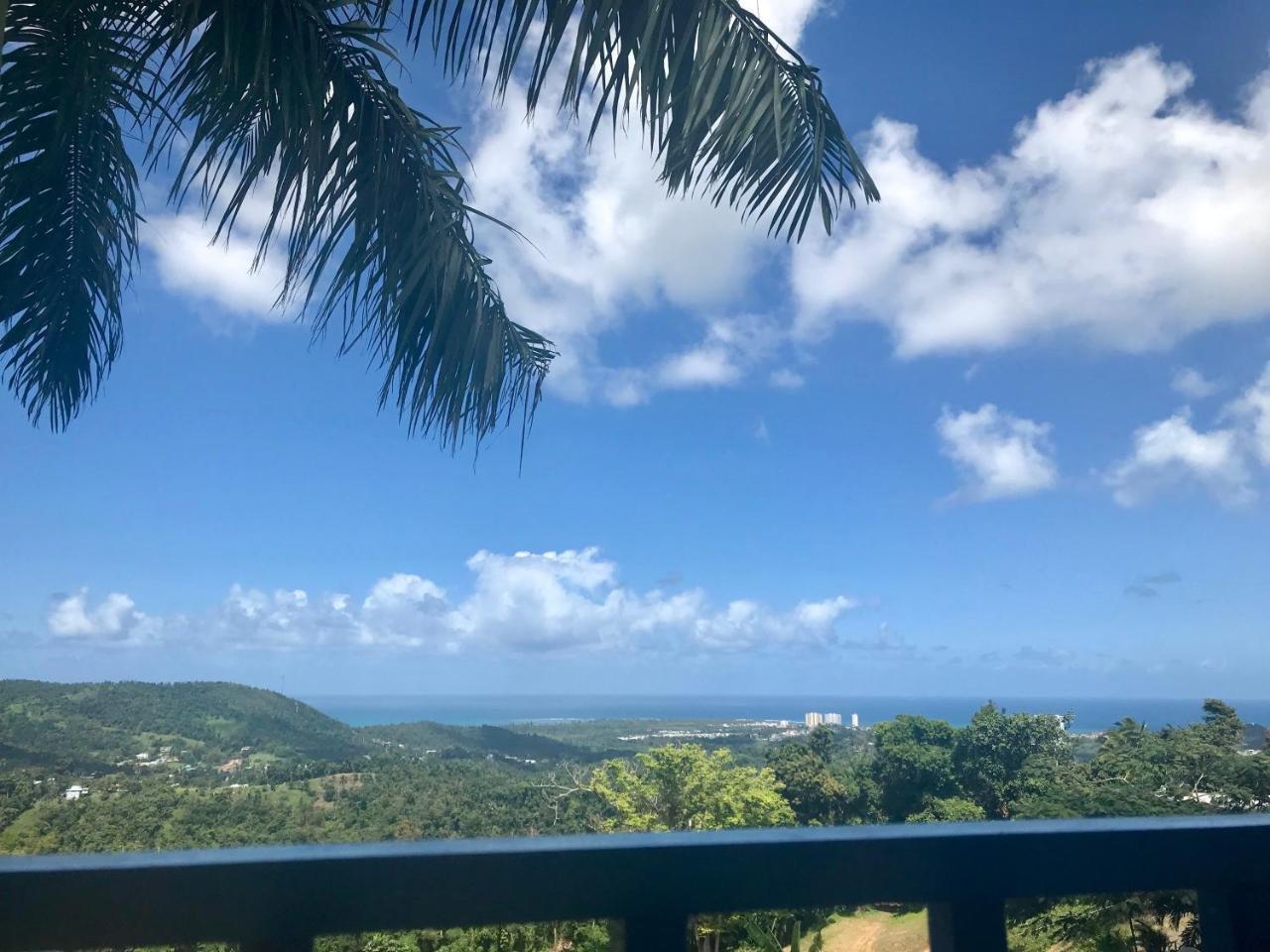 Lodge Million Dollar View In Puerto Rico