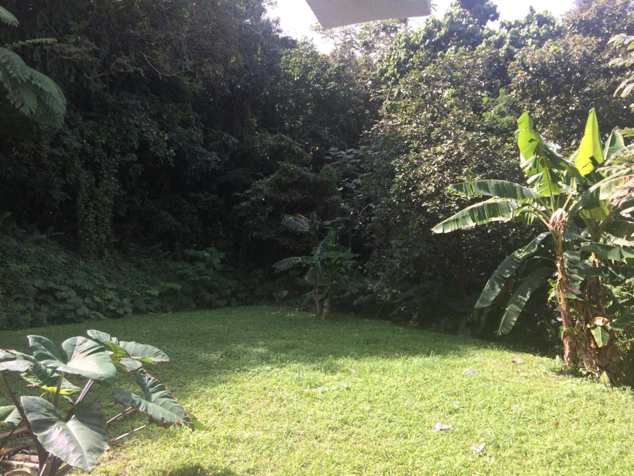 Lodge Million Dollar View In Puerto Rico
