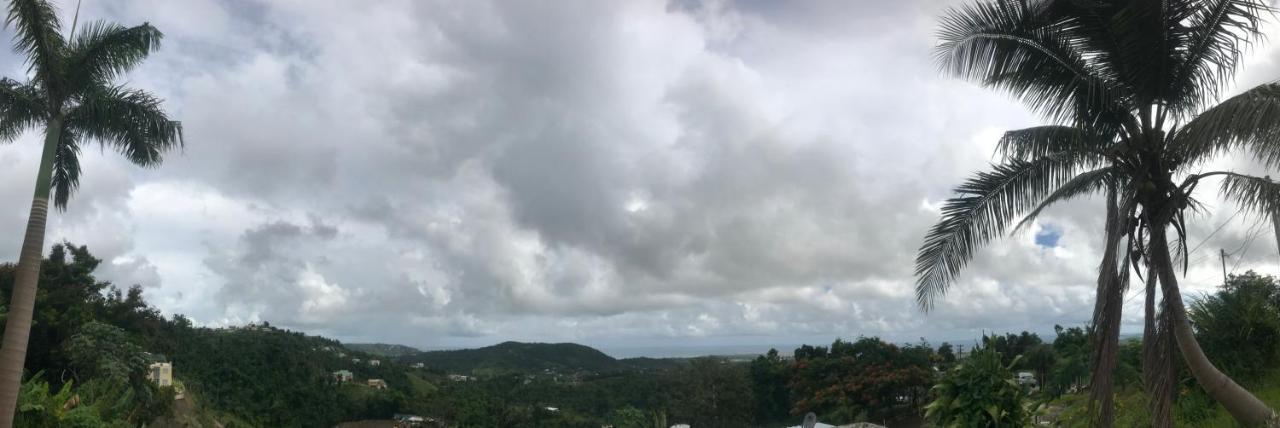 Million Dollar View In Puerto Rico *