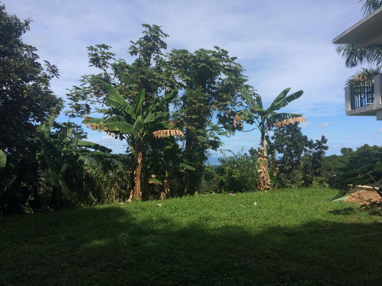 Lodge Million Dollar View In Puerto Rico *