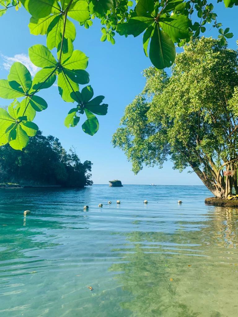 Apartment Tha Lagoon Spot Caribbean Breeze Port Antonio