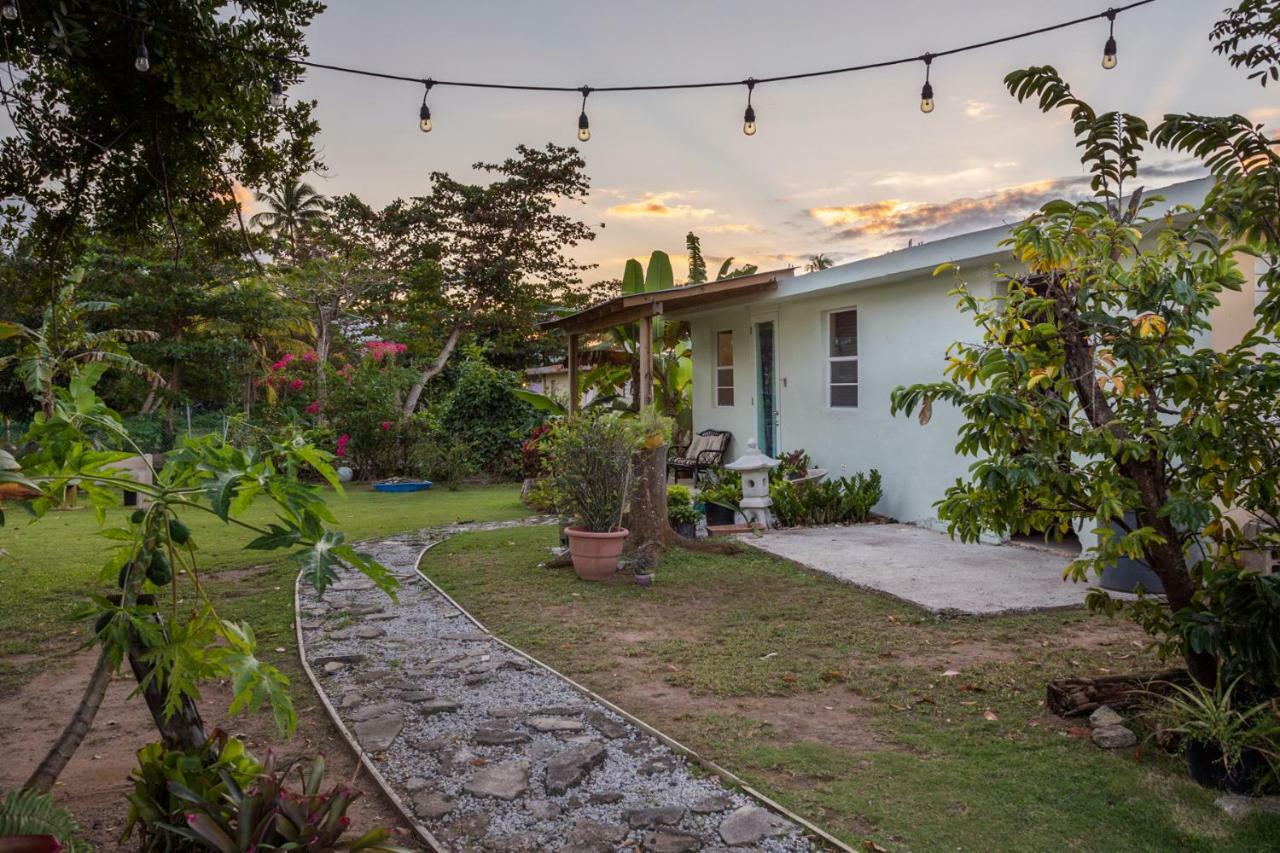 Del Mar Eco Lodging Apartment Luquillo