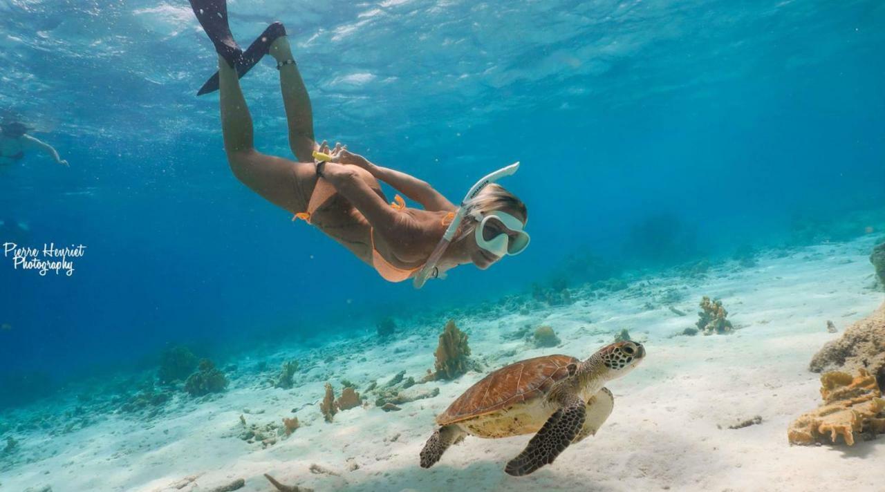 Bamboo Bonaire By Boutique Bonaire Unique Holiday park 4*