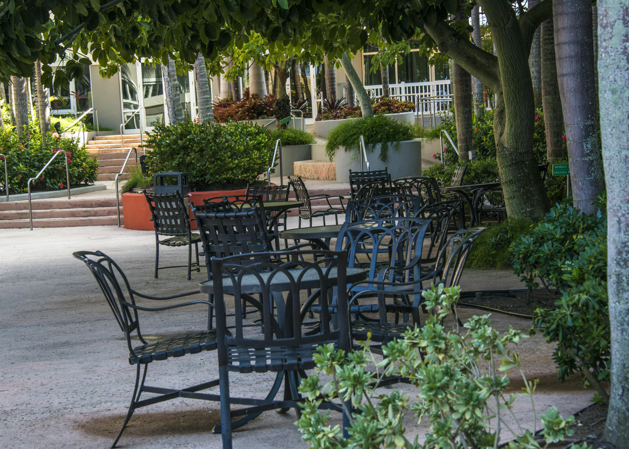 Hotel Aquarius Vacation Club At Del Mar Dorado