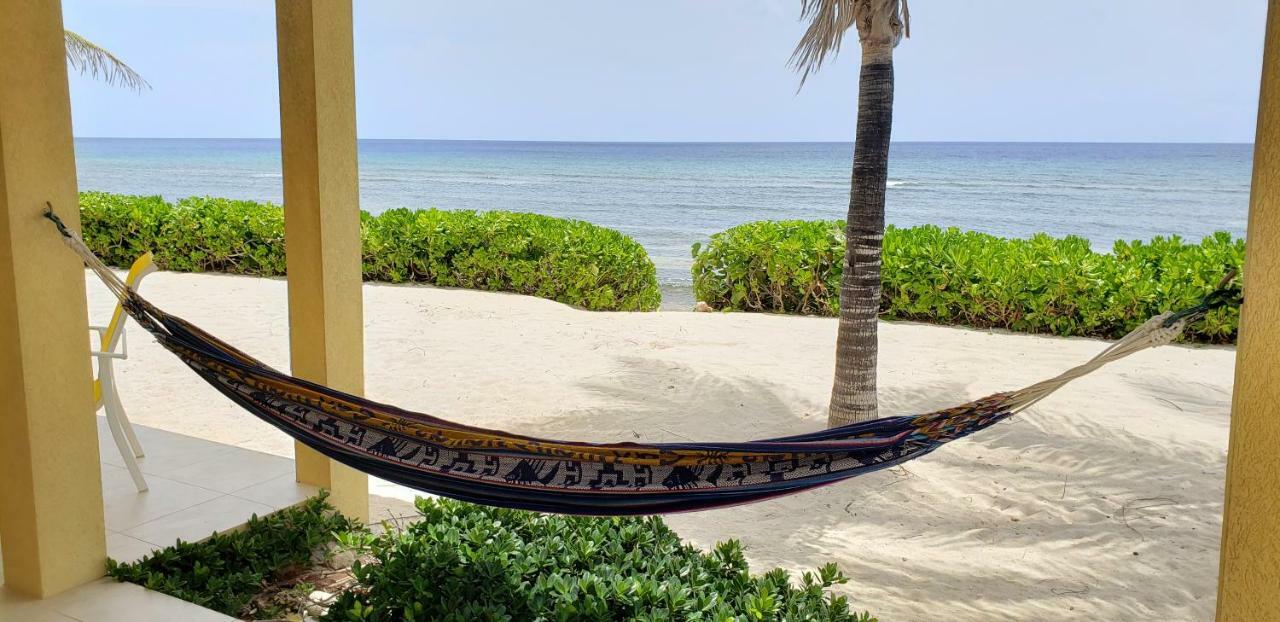 Ocean Paradise Resort