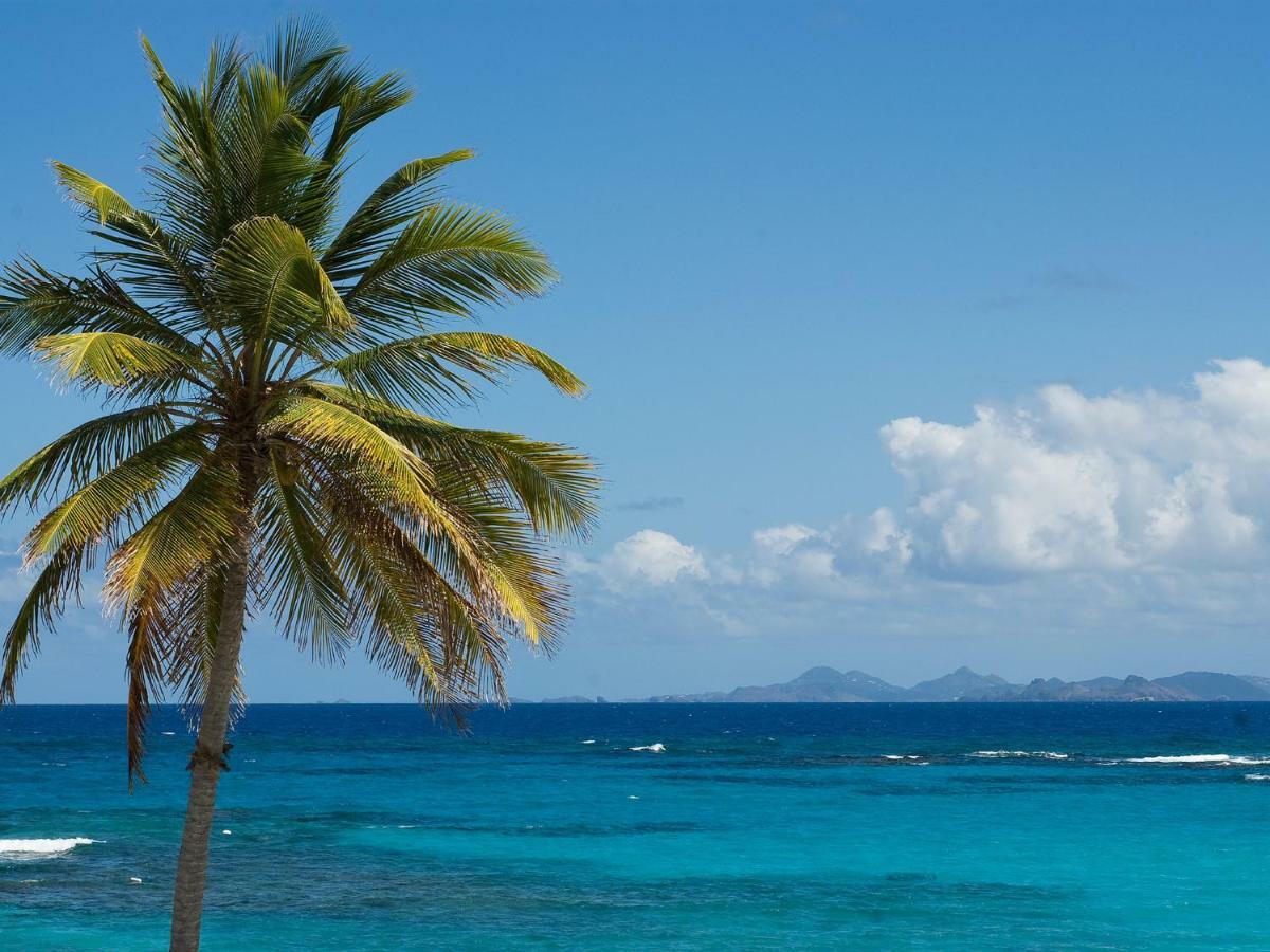 Coral Beach Club Villas & Marina 5* Dawn Beach