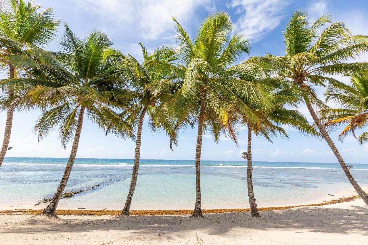 Apartment Beachfront King Bed Privacyjacuzzifullkitchen