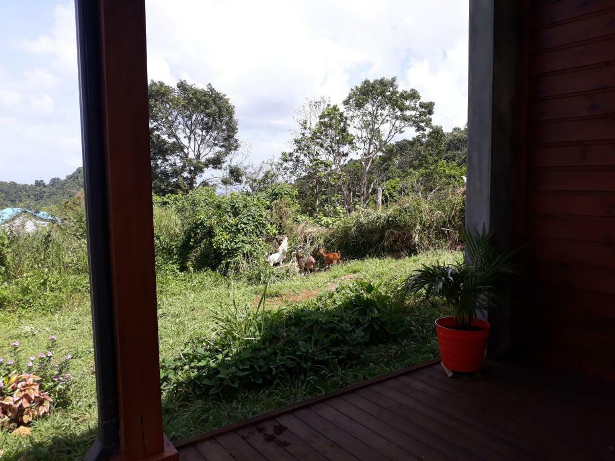 Casa de férias Prune De Coton Deshaies