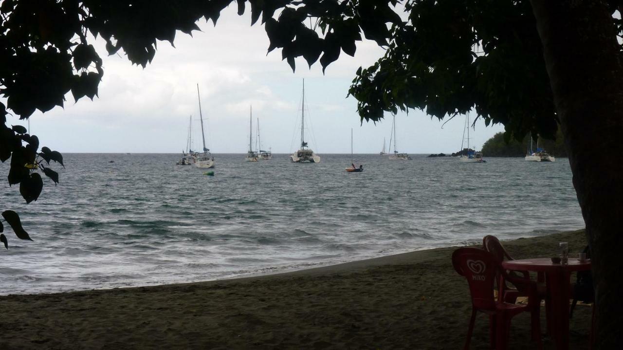 Cote Caraibes *